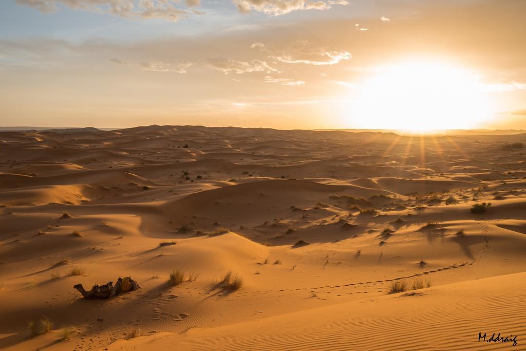 Desert Luxury Camp Morocco เมอร์ซูกา ภายนอก รูปภาพ